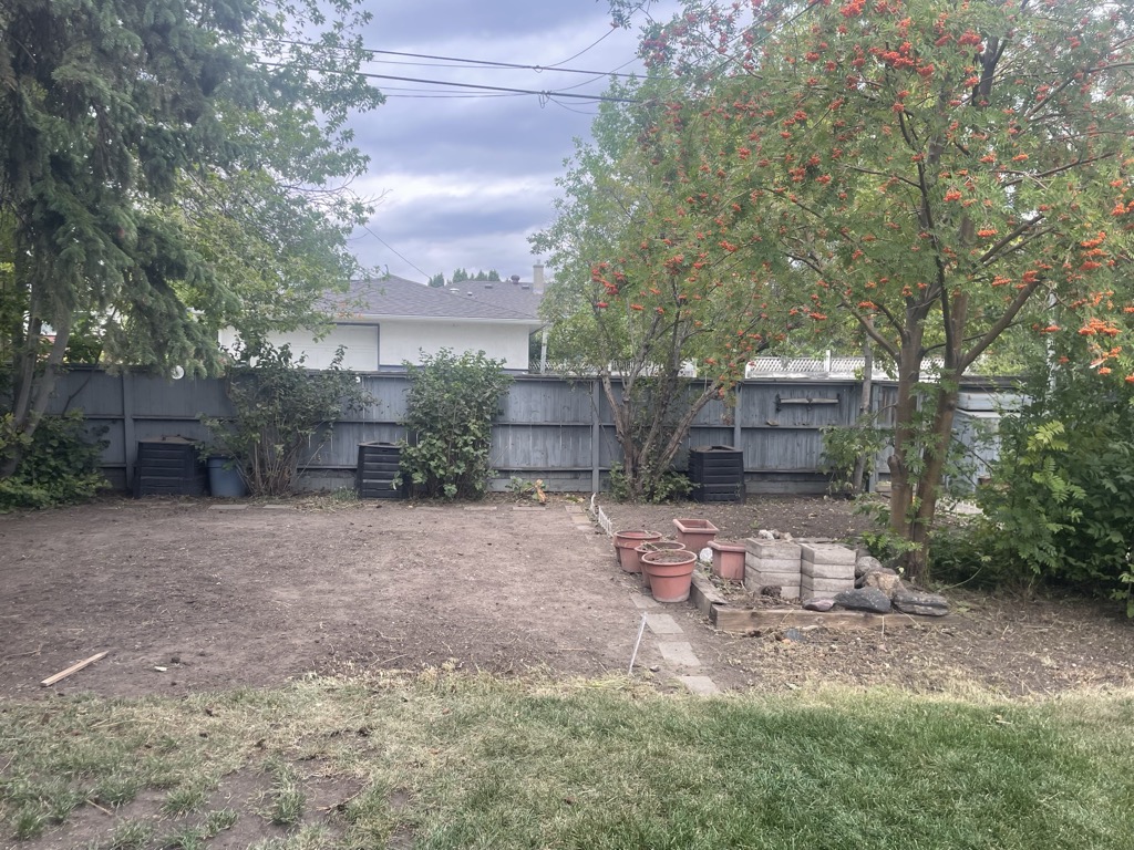 Backyard after cleanup