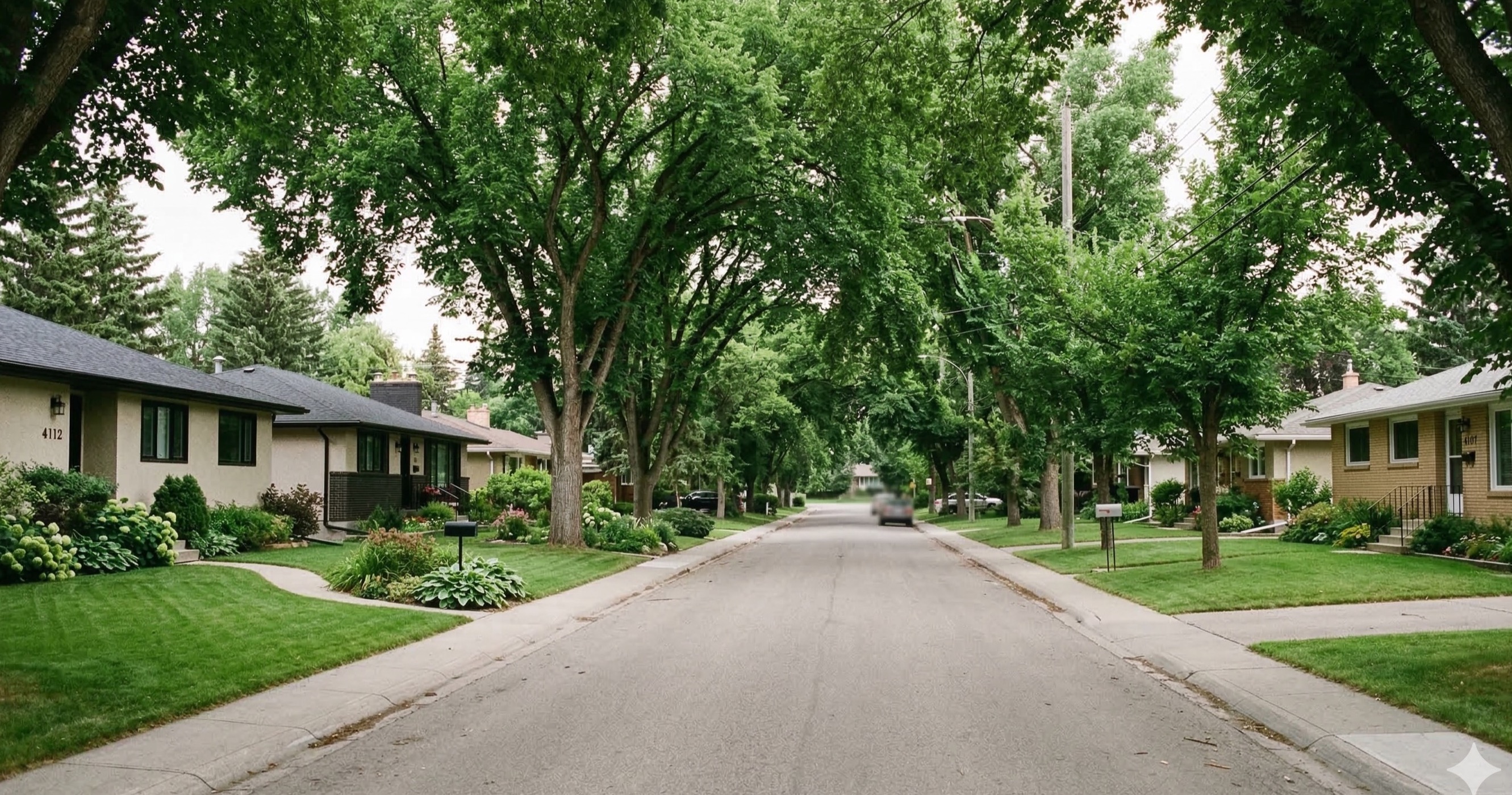 Tree-lined Calgary neighborhood street